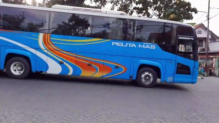 MOTIF WARNA BIRU  BUS PELITA TRANS