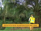 Kertas putih FELDA: Selamatkan FELDA yang 'lemas'