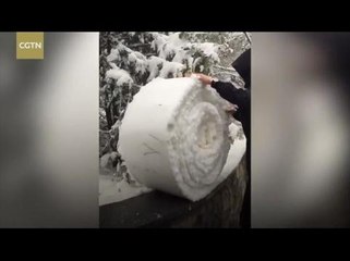 #Bualan 09 Disember: Timur laut China sejuk melampau