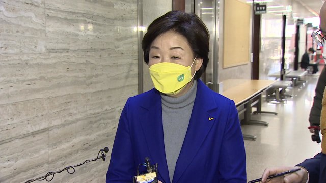 심상정 민주당, DJ 때부터 개혁 얘기...안 해서 문제 / YTN