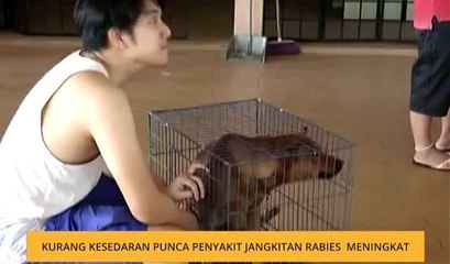 Kurang kesedaran punca penyakit jangkitan Rabies meningkat