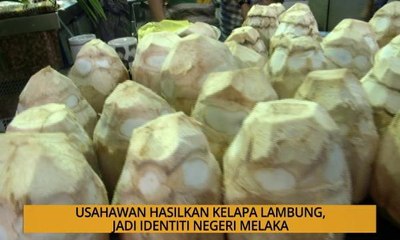 SME: Usahawan hasilkan kelapa lambung, jadi identiti negeri Melaka