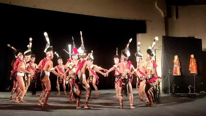 Video...देखें नागालैण्ड के कलाकारों का नृत्य