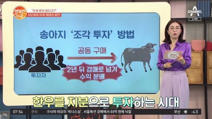 브레이브 걸스 역주행이 내 통장을 채워준다! 지금은 조각투자 열풍 중♥