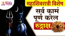 राशीनुसार कोणता रुद्राक्ष धारण करावा? Which Rudraksha should be worn according to the zodiac sign?