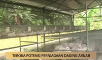 AWANI - Johor: Teroka potensi peniagaan daging arnab