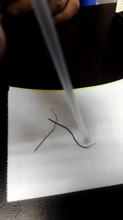 Magic Longing Feather