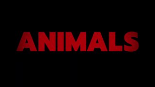 Bande-Annonce - Animals (inspiré de faits réels)