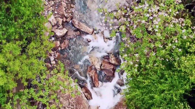 Relaxing Music for Stress Relief - Piano Music, Nature Sounds, Sleep Music, 9 minute