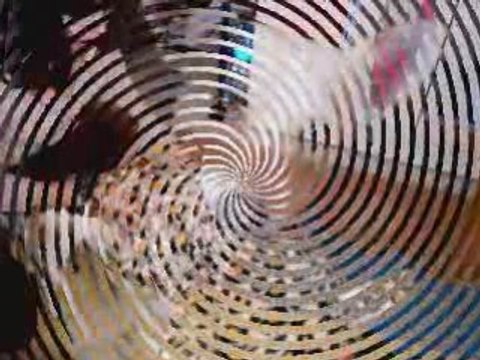 Aby ma chienne jack russel