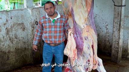 أطعمة غير مألوفة: ضرع البقر