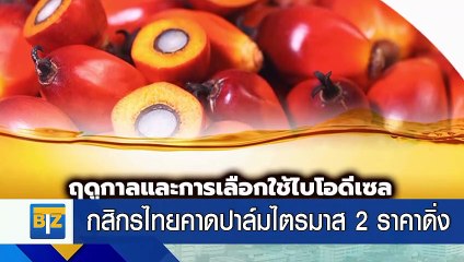 กสิกรไทยคาดปาล์มไตรมาส 2 ราคาดิ่ง 4.5-6.5 บาท/กก.