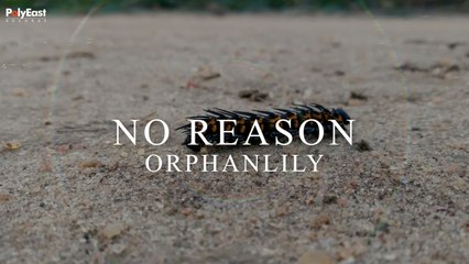 Orphanlily - No Reason (Official Lyric Video)