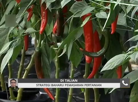 Komen Pagi 23 Nov: Strategi baharu pemasaran pertanian