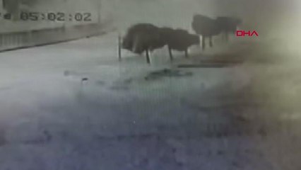 HURDA YÜKLÜ TIR DEVRİLDİ; O ANLAR KAMERADA