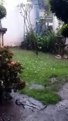 Hujan es di surabaya