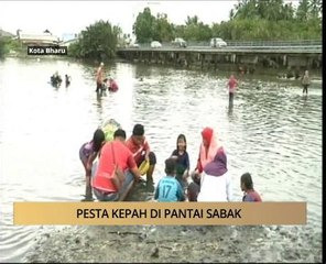 AWANI - Kelantan: Pesta kepah di Pantai Sabak