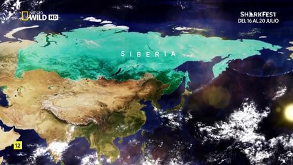 Rusia salvaje! el último gran desierto de la tierra!