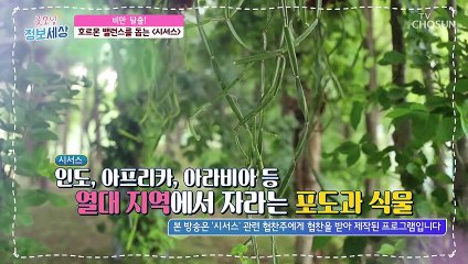 지방을 태우는 호르몬 30%이상↑?! 효자템 등장 TV CHOSUN 220224 방송