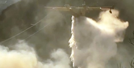 Val di Susa, incendio boschivo sulla montagna di Chianocco (24.02.22)