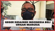Geger Desainer Indonesia Beli Organ Manusia, Polri Koordinasi Dengan Interpol Brasil