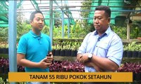 Tanam: Tanam 55 ribu pokok setahun