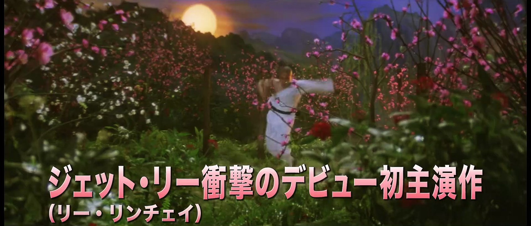映画『少林寺』が40年振りに蘇る!!リアル武術アクションの金字塔！ジェット・リー主演／映画『少...