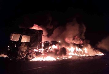 Ağrı'da park halindeki tır alev alev yandı