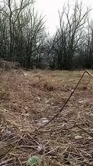 Ukrayna o birlik silahlarını bırakarak Ruslara teslim olmuştu: O anların videosu ortaya çıktı!