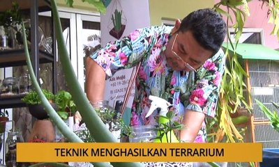 Tanam: Teknik menghasilkan terrarium