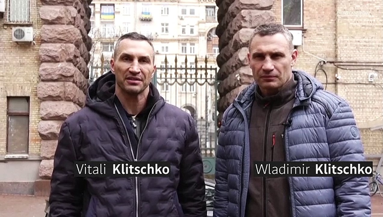 Appell der Klitschko-Brüder
