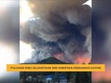 Puluhan ribu selamatkan diri daripada kebakaran hutan
