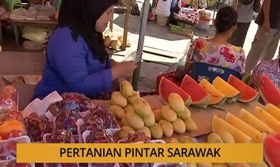Tanam : Pertanian pintar Sarawak