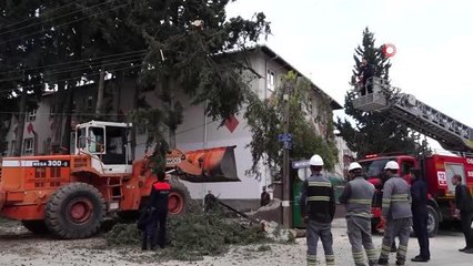 Osmaniye'de fırtına sonrası temizlik çalışmaları sürüyor