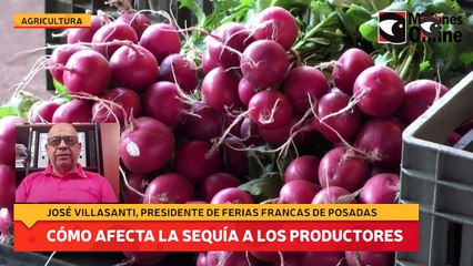 Download Video: Cómo afecta la sequía a los productores