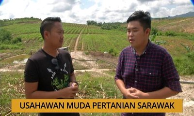 Tanam: Usahawan muda pertanian Sarawak