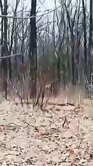 جندي بالجيش الاوكراني يرفع الرايه البيضاء