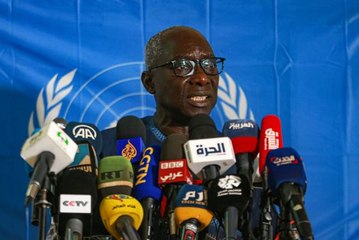 BM uzmanı, Sudan'da olağanüstü halin ve eylemcilere şiddetin sona ermesini istedi (2)