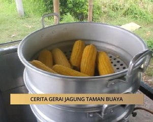 AWANI - Sabah: Cerita gerai jagung Taman Buaya