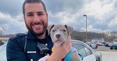 États-Unis : un policier adopte un chiot blessé qu'il a sauvé