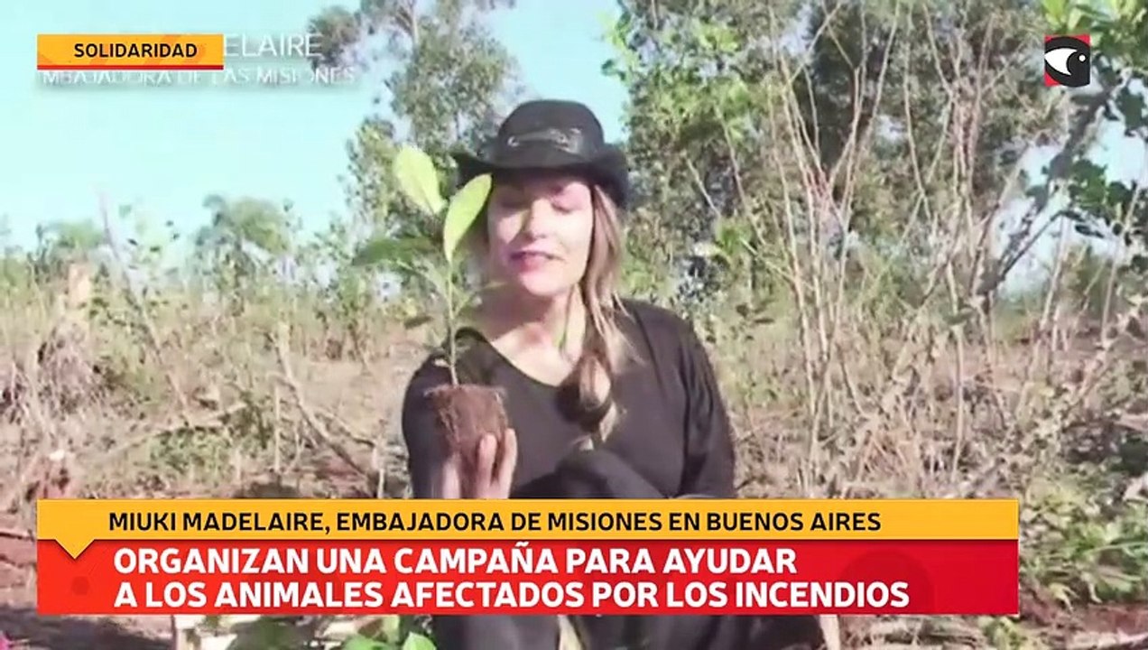 Organizan una campaña para ayudar a los animales afectados por los incendios