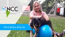 Terapias alternativas para animales abandonados en un refugio argentino