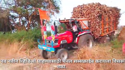 Mahindra Arjun 555 Tractor _ Sugarcane cutting