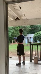 Guy Uses His Shirt to Help a Stuck Kitten