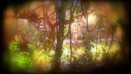 Vivir de pie. Las guerras de Cipriano Mera Tráiler