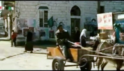 Los limoneros Clip (2)