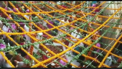 Come, reza, ama Clip (4)