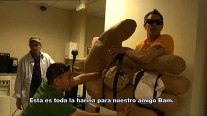 Jackass 3D Clip VO