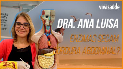 POR QUE AS INJEÇÕES DE ENZIMAS SECAM GORDURA ABDOMINAL?