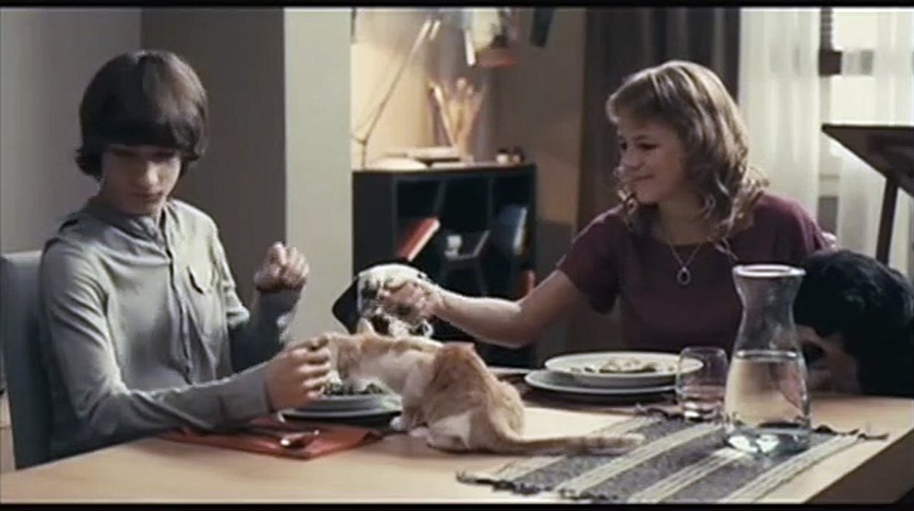 La mosquitera Clip